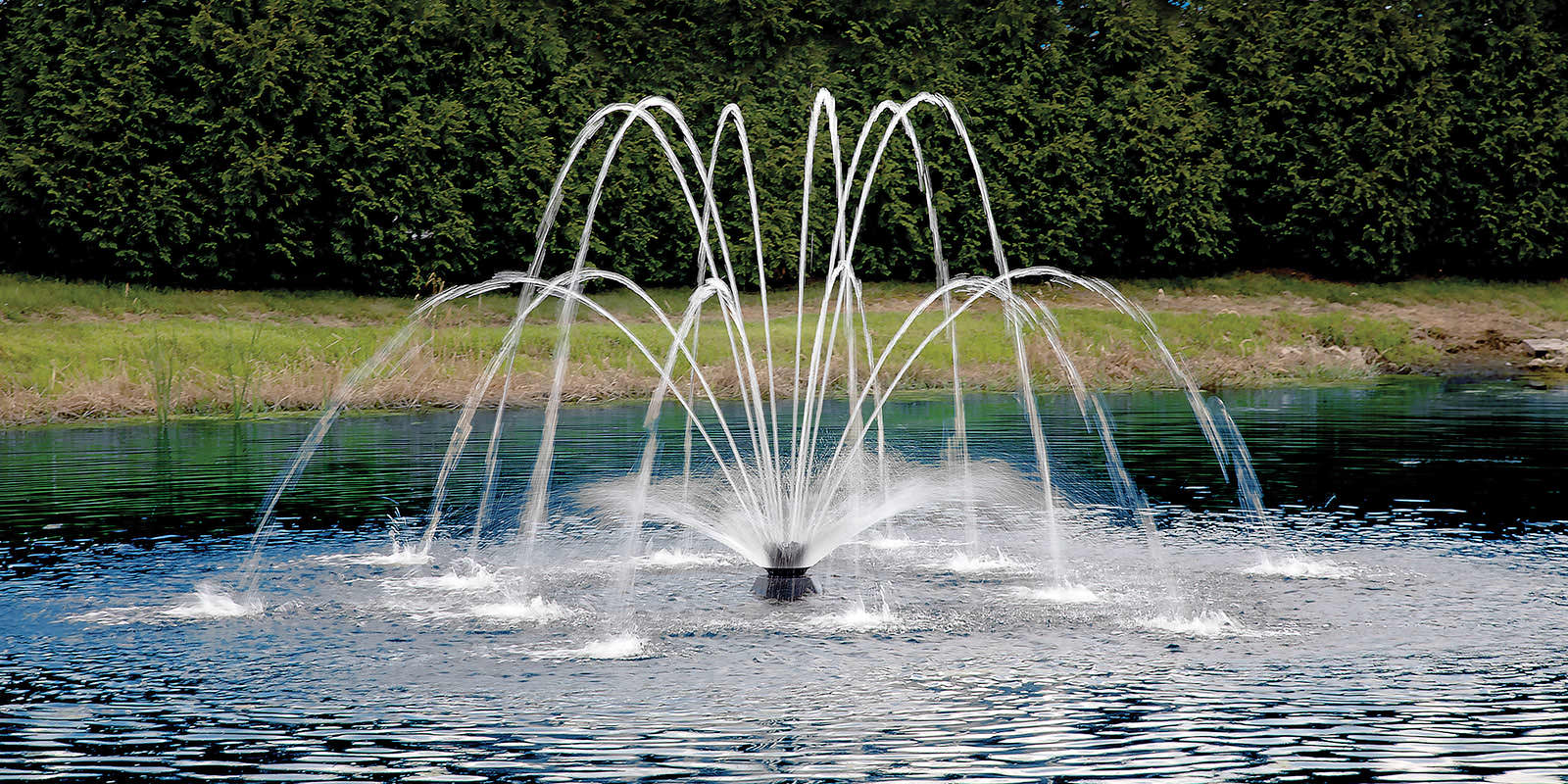fusion series fountain display