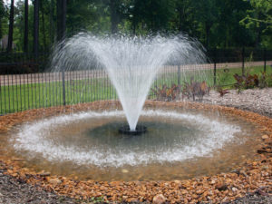 half hp fountain in a small pond