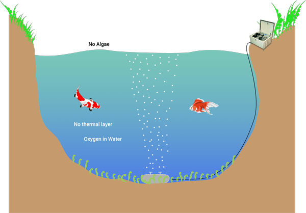 after aeration diagram