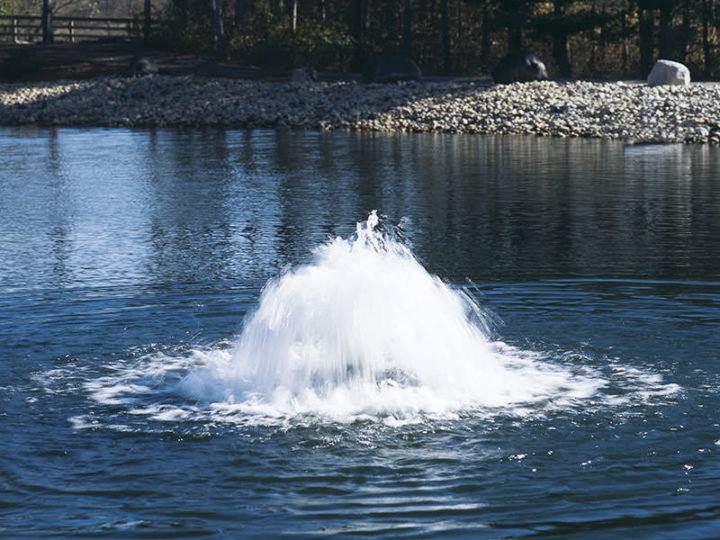 torrent surface aerator